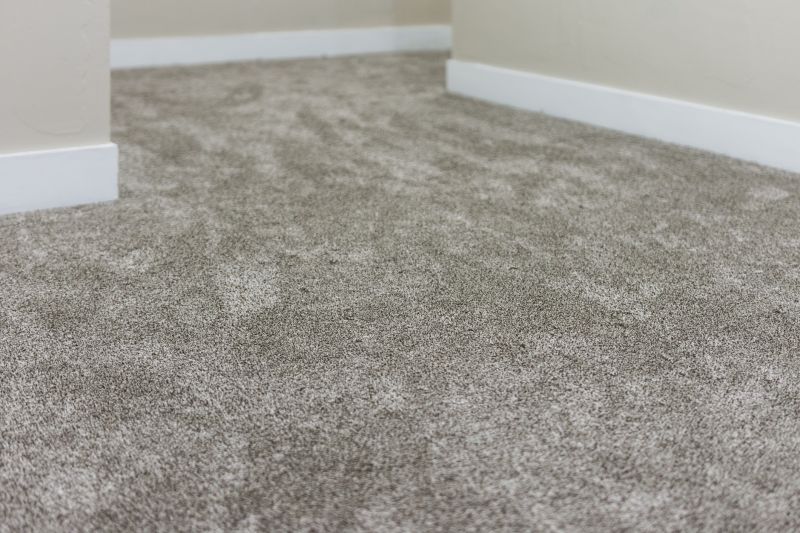 Stain-Free Carpet Surfaces