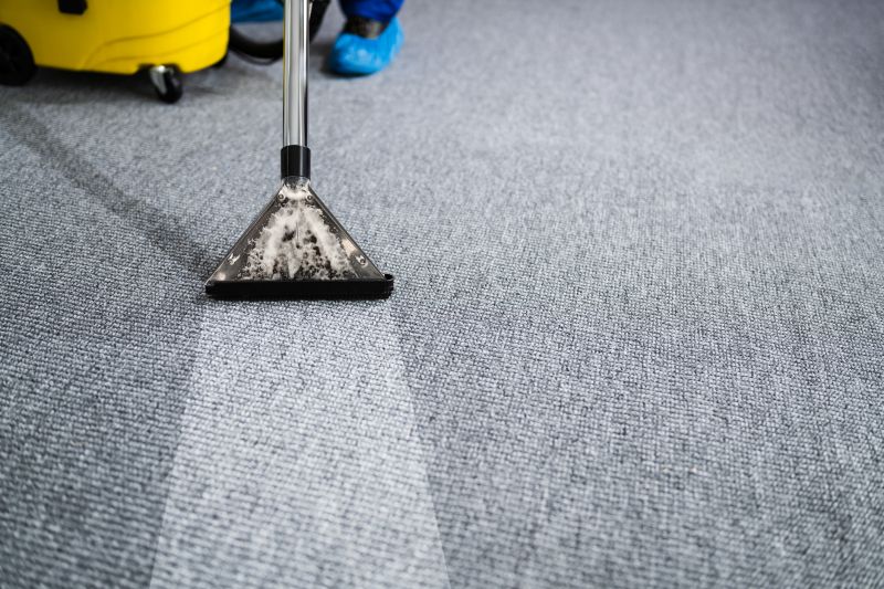 Professional Carpet Cleaning Team