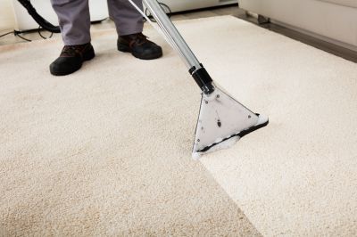 Local Carpet Service Experts